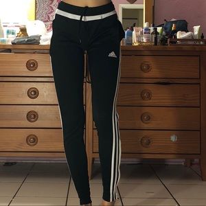 Adidas joggers track pant  climacool